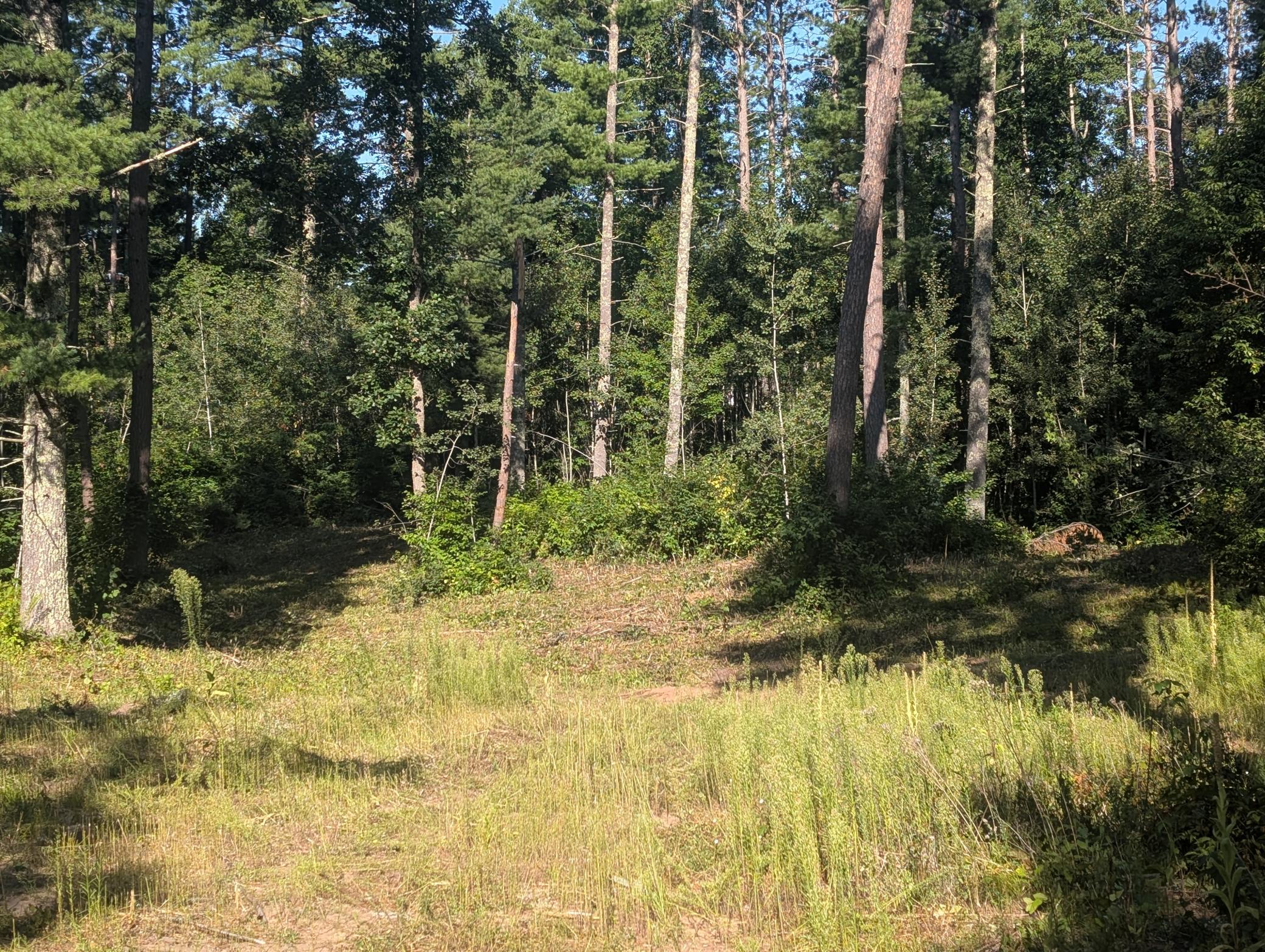 Land in Springbrook 2