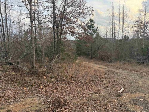 TBD Easement Road Polk 414, Mena, AR, 71953 | Card Image
