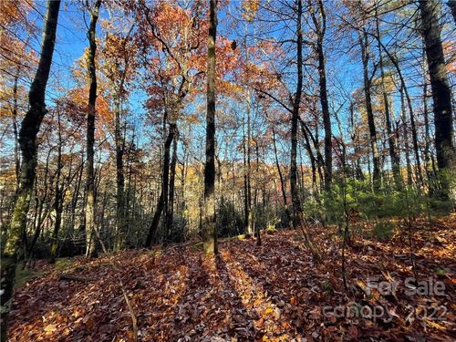 4-9999 Sassafras Ln, Cedar Mountain, NC, 28718 | Card Image