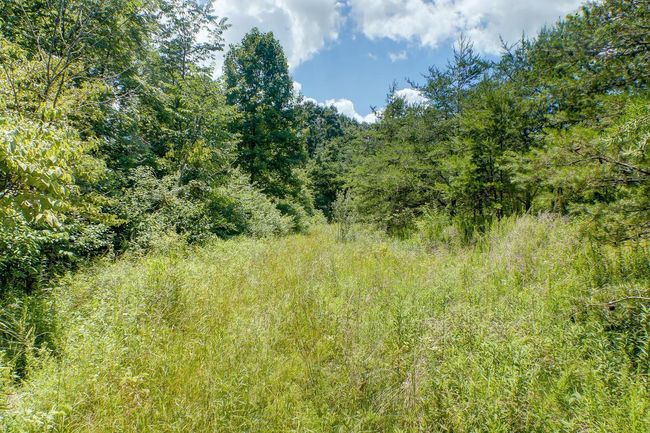 0 Calico Ridge Rd, Home with 0 bedrooms, 0 bathrooms and null parking in Logan OH | Image 7