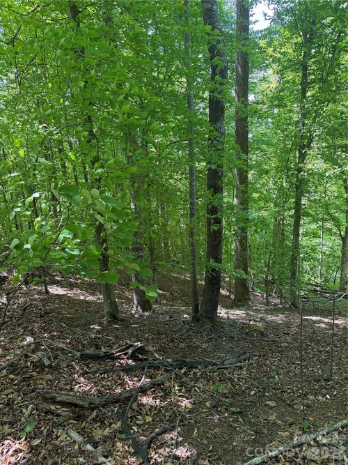 135-0 Creekside Circle, Rutherfordton, NC, 28139 | Card Image