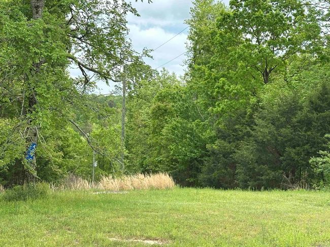 4090 Sunny Slope Rd, Home with 0 bedrooms, 0 bathrooms and null parking in Edgemont AR | Image 17