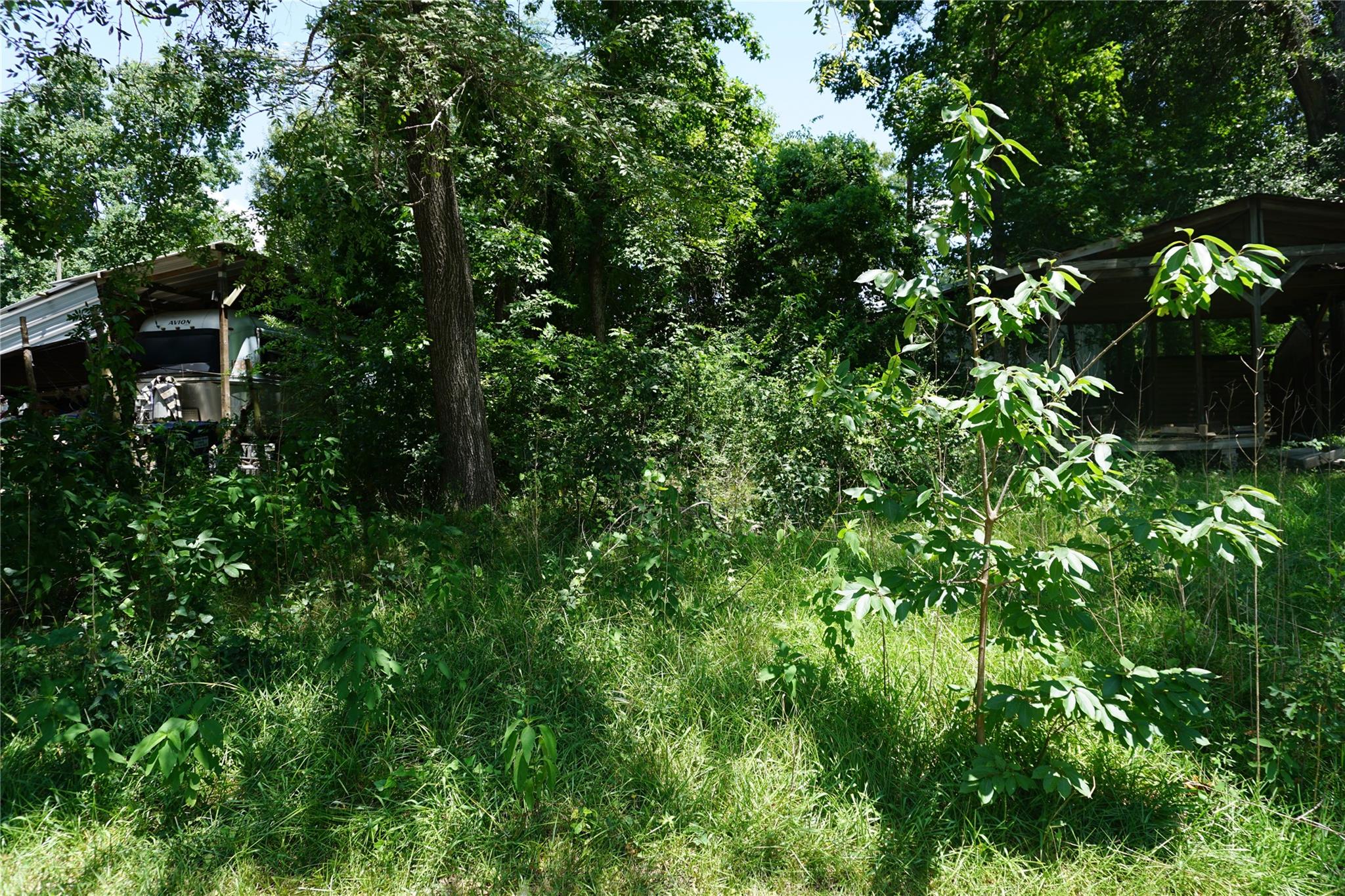 Land in Willis 2