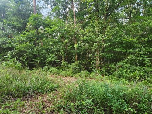 2 Hollybrook Dr, Plantersville, TX, 77363 | Card Image