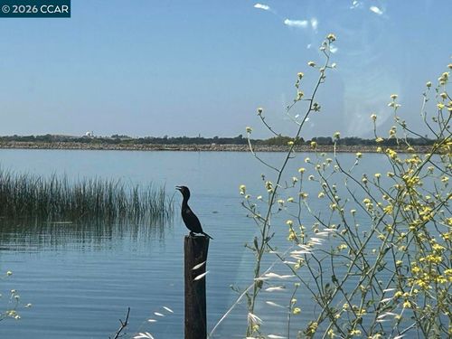0 Bradford Island Rd, Oakley, CA, 94561 | Card Image