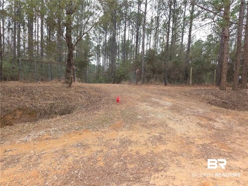 0 Chunchula Landfill Rd, Chunchula, AL, 36521 | Card Image