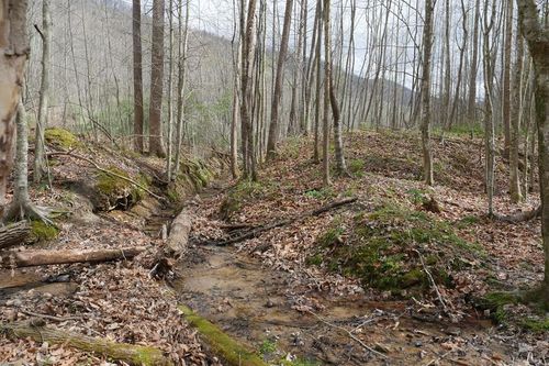 TBD Valley Spring Road, Rose Hill, VA, 24281 | Card Image
