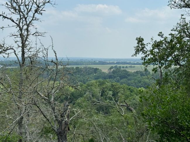650 Kaukonahua Ln, Home with 0 bedrooms, 0 bathrooms and null parking in Bastrop TX | Image 7