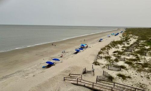 apt-311-311 Palmetto Dr, Isle of Palms, SC, 29451-2864 | Card Image