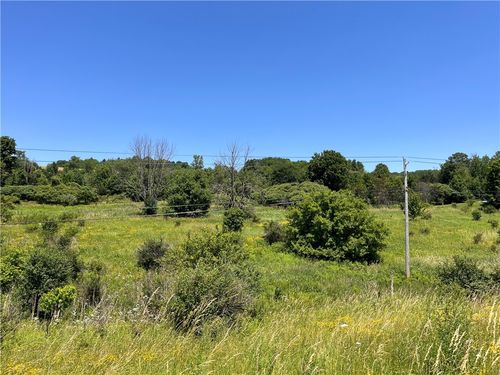 0 Yocum Rd, Wayland, NY, 14572 | Card Image