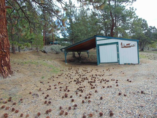10733 Rattlesnake Ln, House other with 3 bedrooms, 2 bathrooms and null parking in Unity OR | Image 9