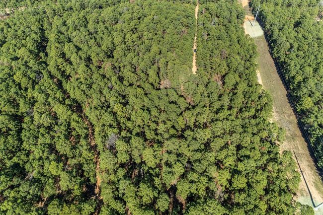 Aerial View Lot 95 and 96 Hidden Hollow Ct, Pine Forest Bastrop | Image 8