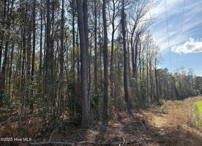 0000 N Rankin St, Home with 0 bedrooms, 0 bathrooms and null parking in Atkinson NC | Image 4