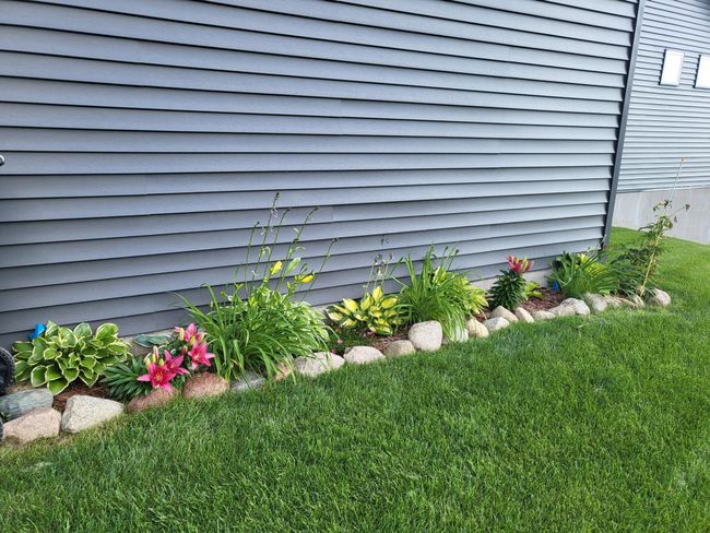 Landscape with variety of flowering plants | Image 31