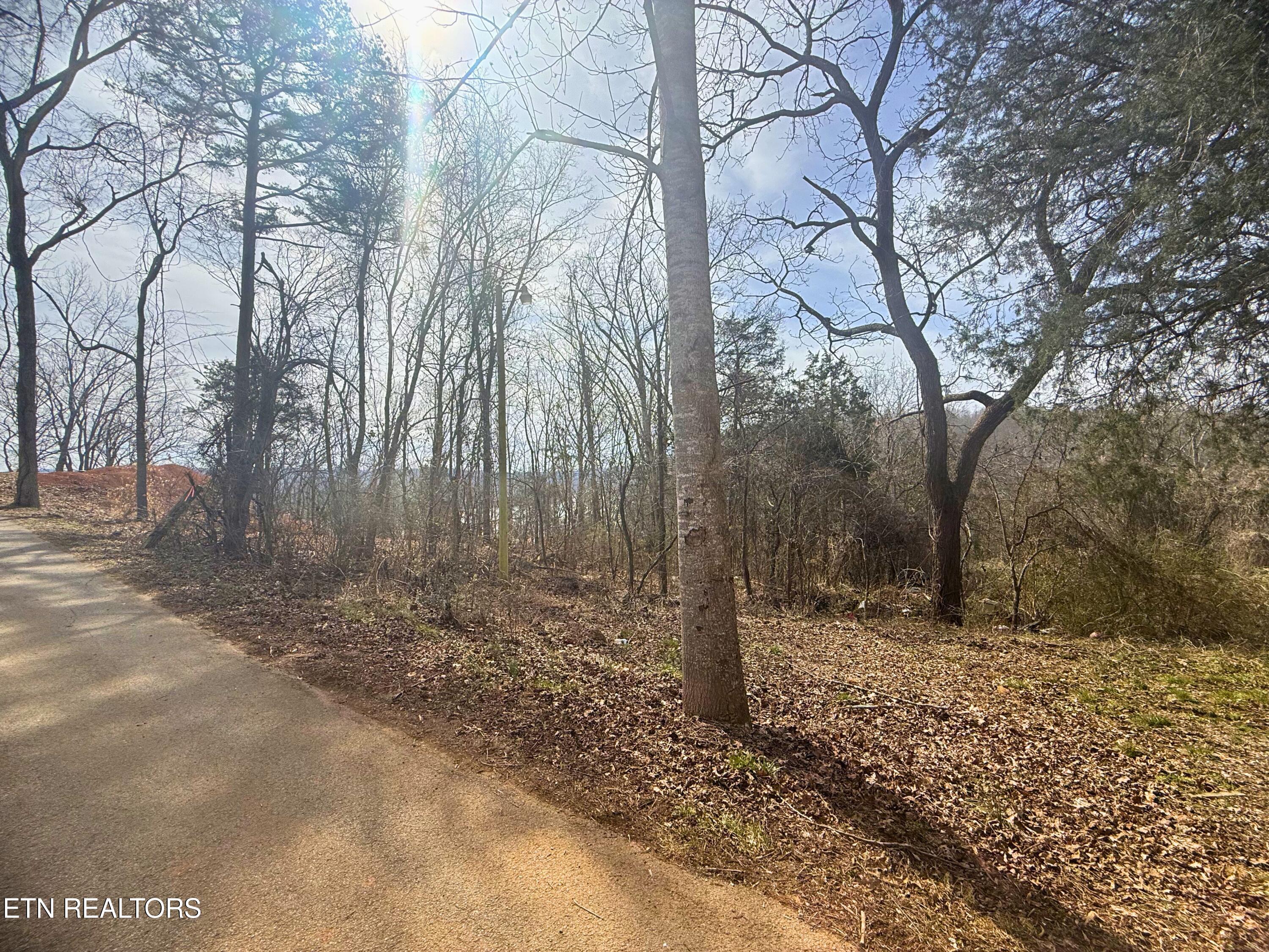Land in Speedwell 2