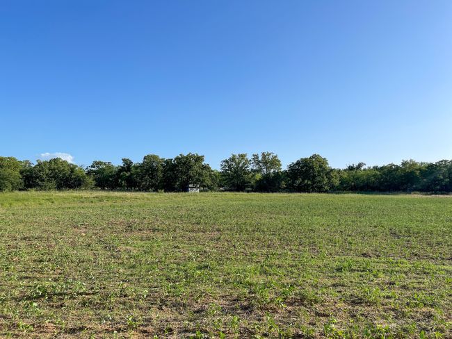 View of undeveloped land with rural landscape | Image 27