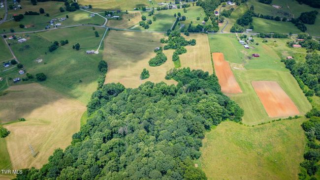 672 Treadway Trl, Home with 0 bedrooms, 0 bathrooms and null parking in Telford TN | Image 14