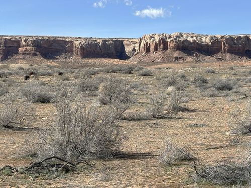 6-964 Prickly Pear Rd, Monument Valley, UT, 84536 | Card Image