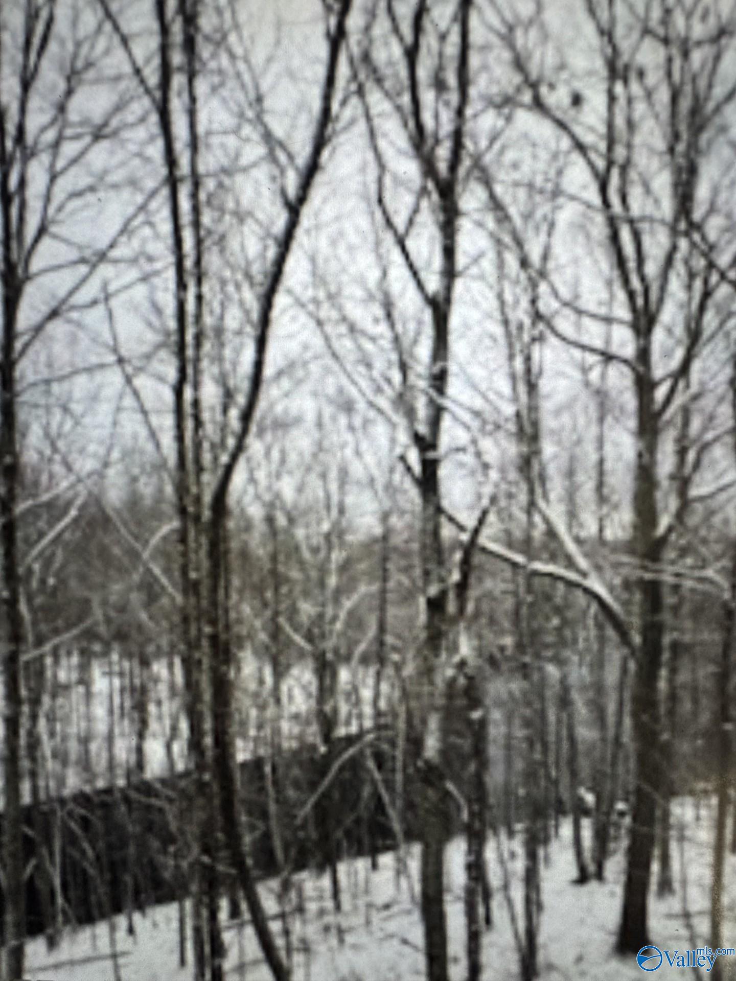 Land in Woodville 3