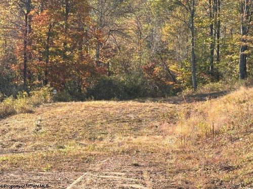 LOT 23 Island Rd, Belington, WV, 26250 | Card Image