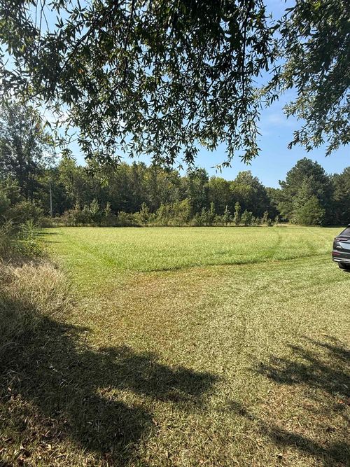 0 Clement Rd, Leighton, AL, 35646 | Card Image