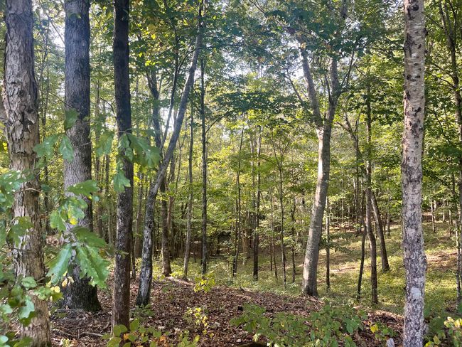 450 County Road 28, House other with 4 bedrooms, 3 bathrooms and null parking in Calhoun TN | Image 128