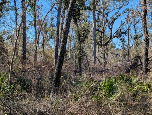 107-107 Nw Fox Run Rd, MAYO, FL, 32066-3761 | Card Image