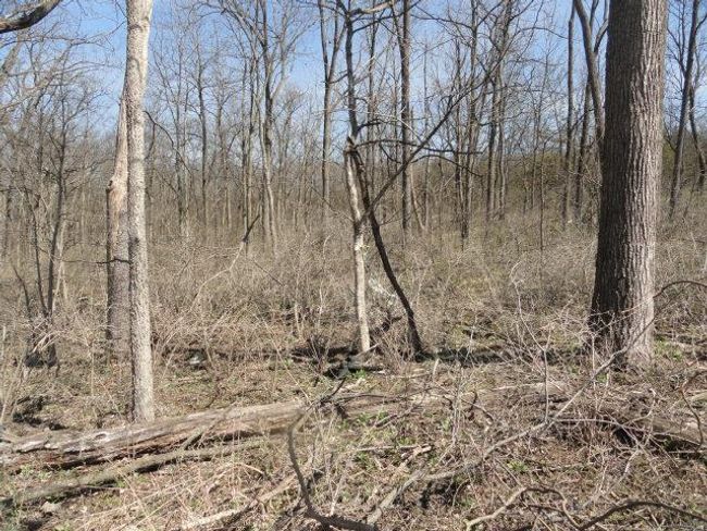 10.45 Acres Ringhand Rd, Home with 0 bedrooms, 0 bathrooms and null parking in SYLVESTER WI | Image 39
