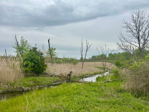 8603 Oakland Dr, Portage, MI, 49024 | Card Image