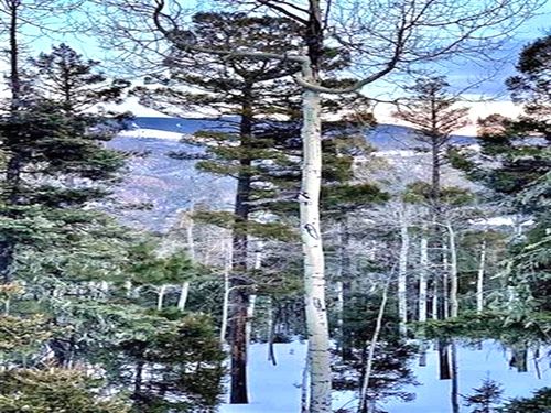 75 Via De Maria, Angel Fire, NM, 87710 | Card Image