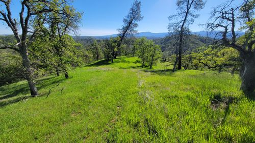 Lot 207 Fiddlers Rd, Ono, CA, 96047 | Card Image