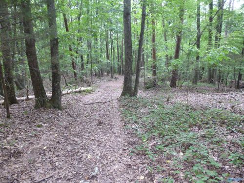 500 20th Street Sw, Fort Payne, AL, 35967 | Card Image