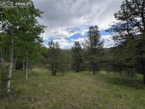 532 May Queen Dr, Cripple Creek, CO, 80813-9659 | Card Image