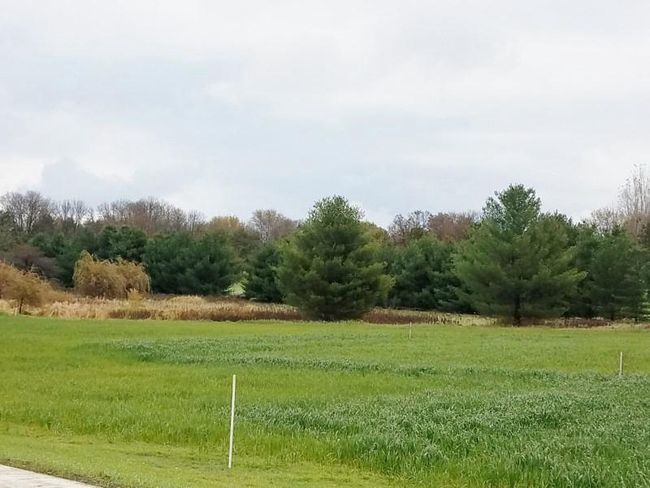 L119 Naomi Trail, Home with 0 bedrooms, 0 bathrooms and null parking in Windsor WI | Image 18