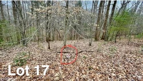Lot 17 Woods Haven Ln, Stuart, VA, 24171-5173 | Card Image