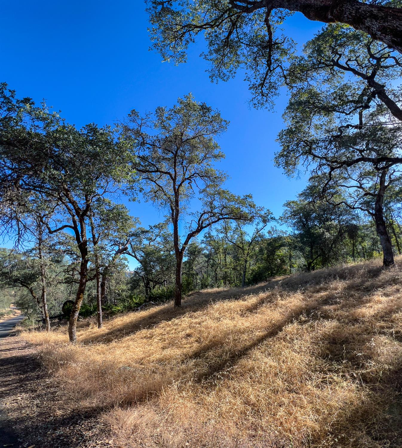 Land in Placerville 4