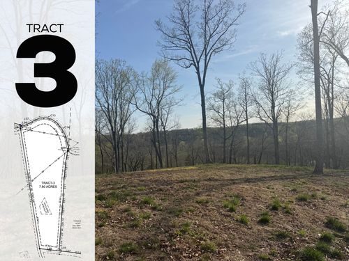 0 Love Branch Rd, Hampshire, TN, 38461 | Card Image