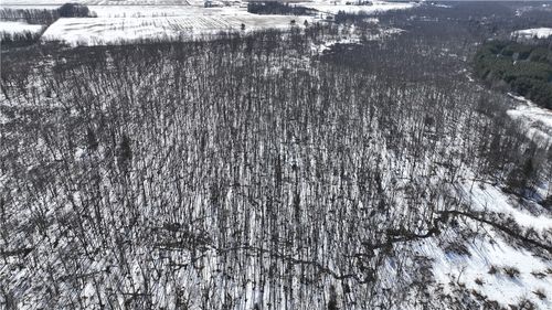 XX County Road O, Bruce, WI, 54819 | Card Image