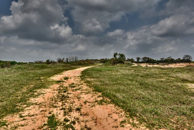 View of landscape with a rural view | Image 19