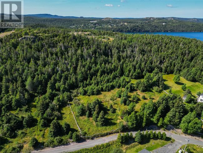 20 Kennedys Lane, Home with 0 bedrooms, 0 bathrooms and null parking in Holyrood NL | Image 16