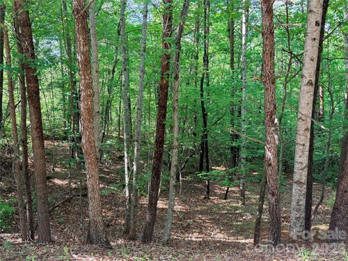 0 Mcdaniel Court, Lake Lure, NC, 28746 | Card Image