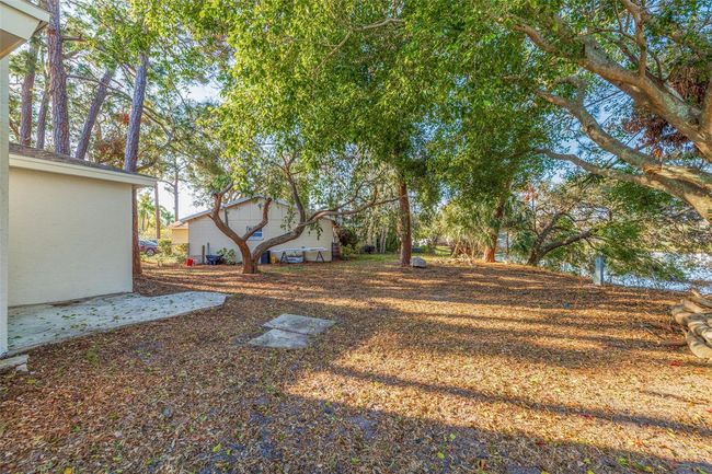 backyard | Image 37