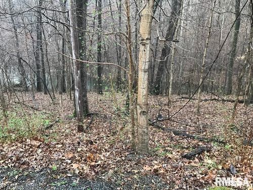 00 Deer Ridge Rd, Goreville, IL, 62939 | Card Image