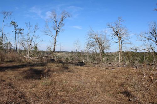 TBD Cr 1627-34 Acres, Rusk, TX, 75785 | Card Image