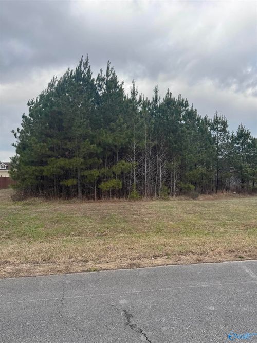 .65 acre Wind Stone Dr, Toney, AL, 35773 | Card Image