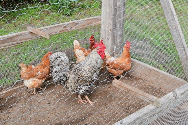 These happy chickens love their home, yours will too! | Image 40
