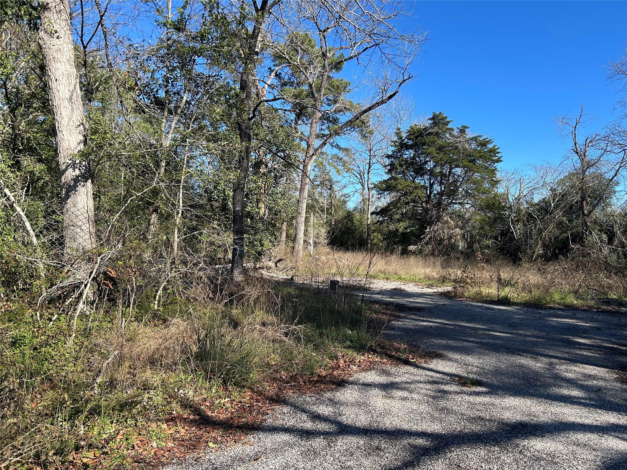 Land in Willis 3