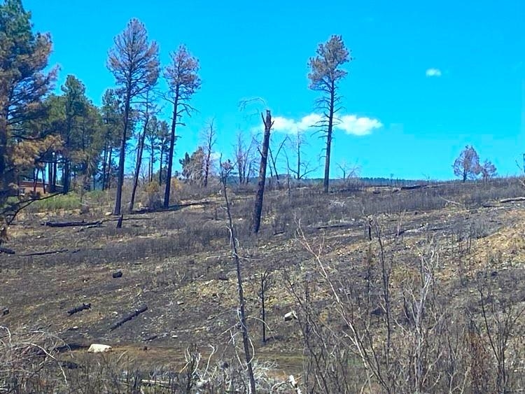 Land in Timberon 2