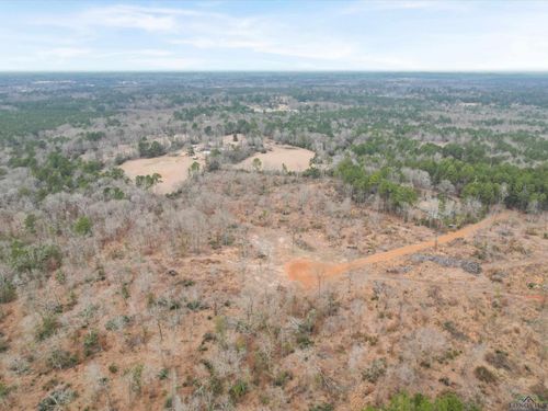 TBD PRIVATE Road 1109, New Diana, TX, 75640 | Card Image