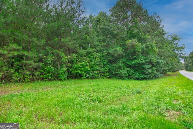 0 Ga Highway 103, Home with 0 bedrooms, 0 bathrooms and null parking in WEST POINT GA | Image 7